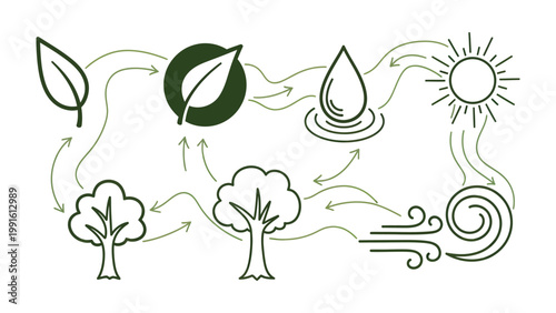 Ecological Flow Illustration: An illustrative portrayal of the harmonious interaction within an ecosystem, the delicate dance of nature and its components.