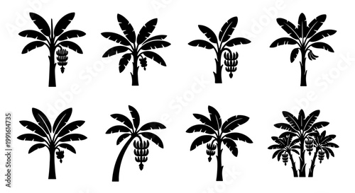 Banana tree silhouette icons, set of 8 tropical palm plant vectors, black botanical fruit tree symbols, exotic flora illustrations for summer design