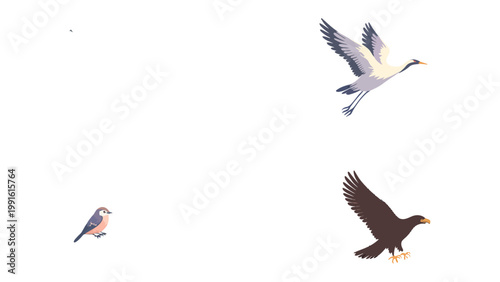 Soaring Birds: A composition of diverse avian species in flight and at rest, painted with delicate brushstrokes and minimalist aesthetics.