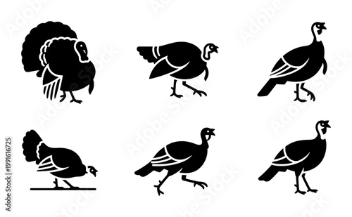 Turkey silhouette vector set, black farm bird icons for Thanksgiving and autumn harvest, 6 wild turkey poultry illustrations for holiday design