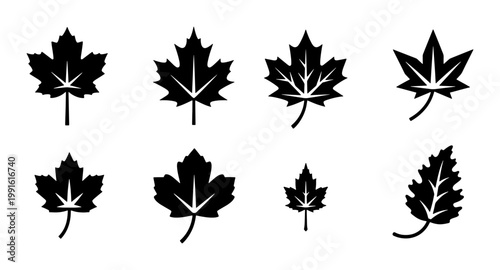 Maple leaf silhouette icon set, black autumn foliage vector elements, 8 minimalist fall leaf shapes for nature branding and seasonal design