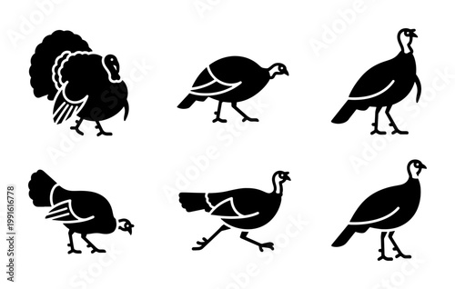 Black turkey silhouette vector set, wild turkey bird icons for Thanksgiving, collection of 6 poultry farm animal graphics for autumn holiday design