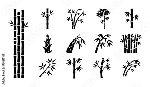 Bamboo silhouette icons set, black tropical plant stems and leaves, 14 botanical vector elements for Asian spa and nature design