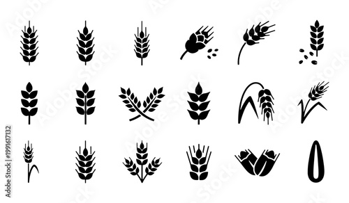 Wheat ear icons set, black cereal grain stalk silhouettes, organic agriculture and farming vector elements, 18 barley and rye symbols for bakery branding