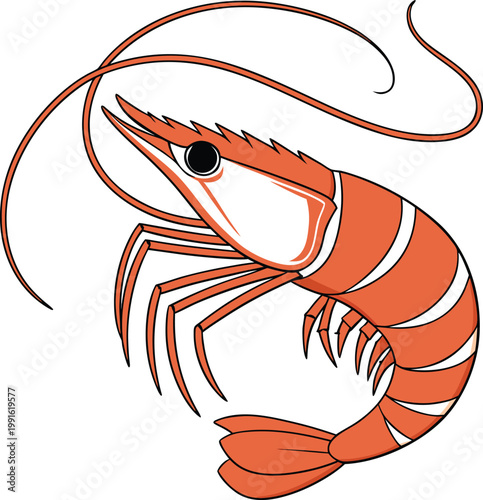 Vibrant red shrimp with long antennae and claws