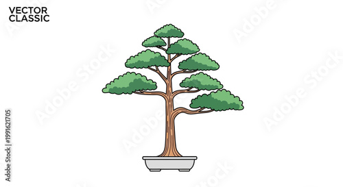 Bonsai Tree in White Planter Box.