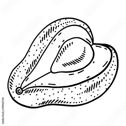 Vector illustration of a ripe avocado half with pit. Isolated sketch of organic tropical fruit in engraved style for menu, kitchen decor or healthy food packaging.