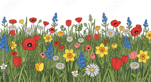 Colorful flowers in a field.