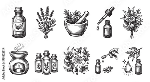 Hand-drawn illustration of various elements related to herbal remedies and essential oil production, including bottles, plants, mortar and pestle, and a diffuser.