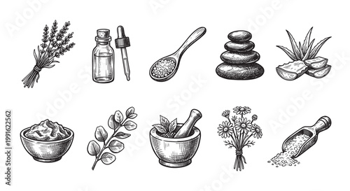 A collection of hand-drawn illustrations featuring natural spa ingredients like lavender, aloe vera, essential oil, stones, and herbs, perfect for beauty and wellness themes.