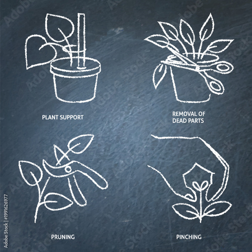 Plant pruning and pinching chalkboard icon set