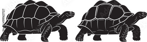 Two black silhouette tortoises moving forward one slightly ahead of the other showcasing their textured shells and legs against a white background line art tortoise silhouette wildlife isolated