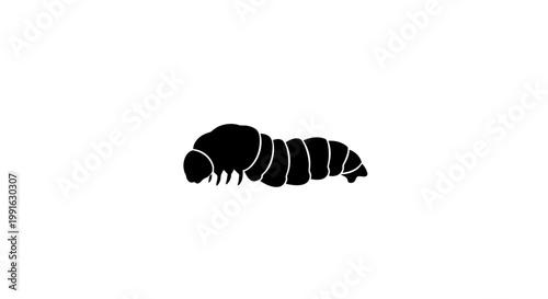 Black Caterpillar Insect Side View.