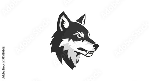 Black and white husky dog head.