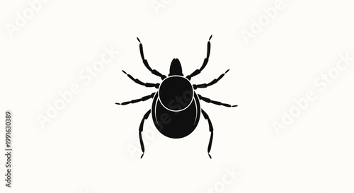 Black tick insect close up view.