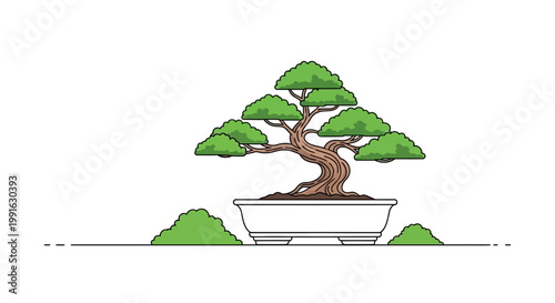 Bonsai tree in a pot.