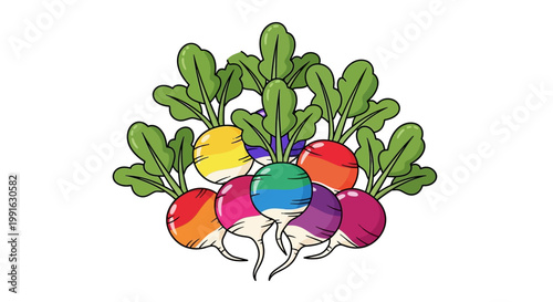 Colorful Radishes with Green Leaves.