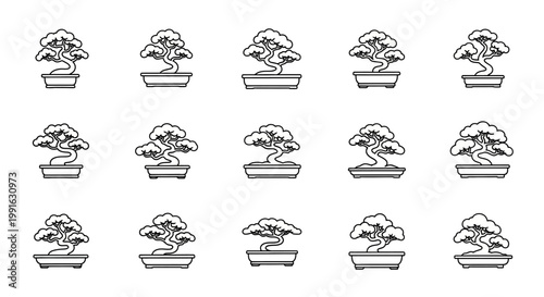 Multiple bonsai trees in pots.