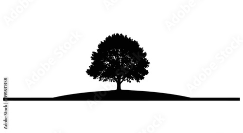 Tree Silhouette on a Hill Top.
