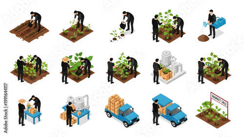 Top View Colorful Agriculture Process Vector Set – Planting, Watering and Harvesting Human Activity System Illustration on Clean White Background