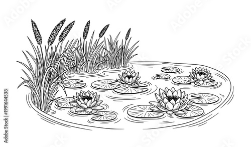 Pond with Water Lily Hand Drawn Sketch Vector