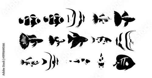 Tropical colorful fish vector collection aquarium marine animals illustration