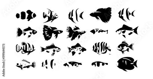 Tropical colorful fish vector collection aquarium marine animals illustration