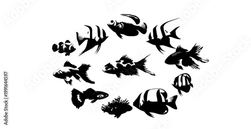 Tropical colorful fish vector collection aquarium marine animals illustration