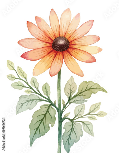 Sunflower with watercolor petals and green stem and leaves