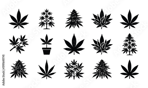 Cannabis leaf silhouette icons, 15 marijuana plant vector elements, black hemp foliage symbols for medical dispensary branding and cbd product packaging