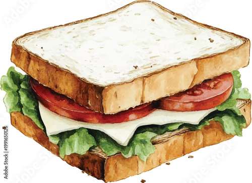 Delicious sandwich with cheese lettuce tomato 2.