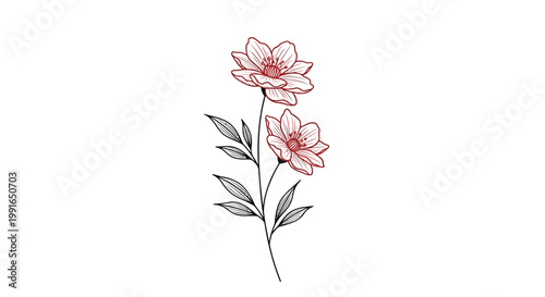 Pink flowers, floral illustrations, botanical vector graphics, decorative blooms
