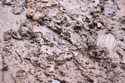 Detailed macro texture of wet brown mud and clay, organic earth surface background