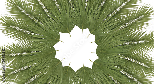 Green Christmas wreath, holiday decoration, pine branches, evergreen floral arrangement