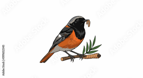 Small bird with orange chest holding grub in beak on branch
