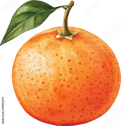 Fresh orange fruit with green leaves 1.