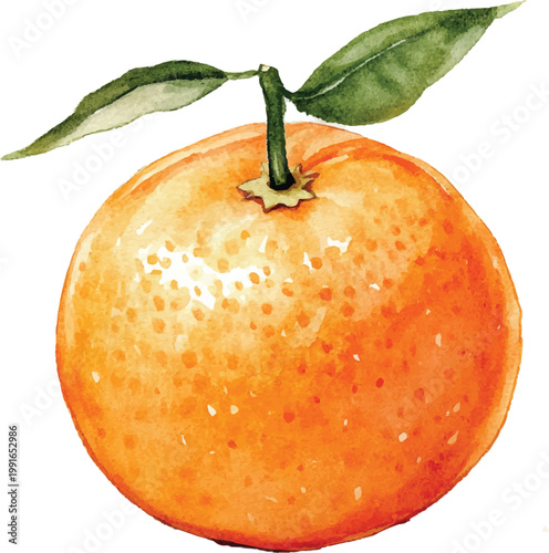 Fresh orange fruit with green leaves.