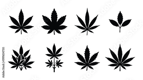 Cannabis leaf silhouette icons, set of 8 marijuana foliage vector elements, black hemp plant leaf symbols for medical and recreational branding