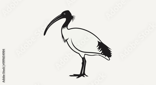 Stylized black and white illustration of an ibis with a long curved beak