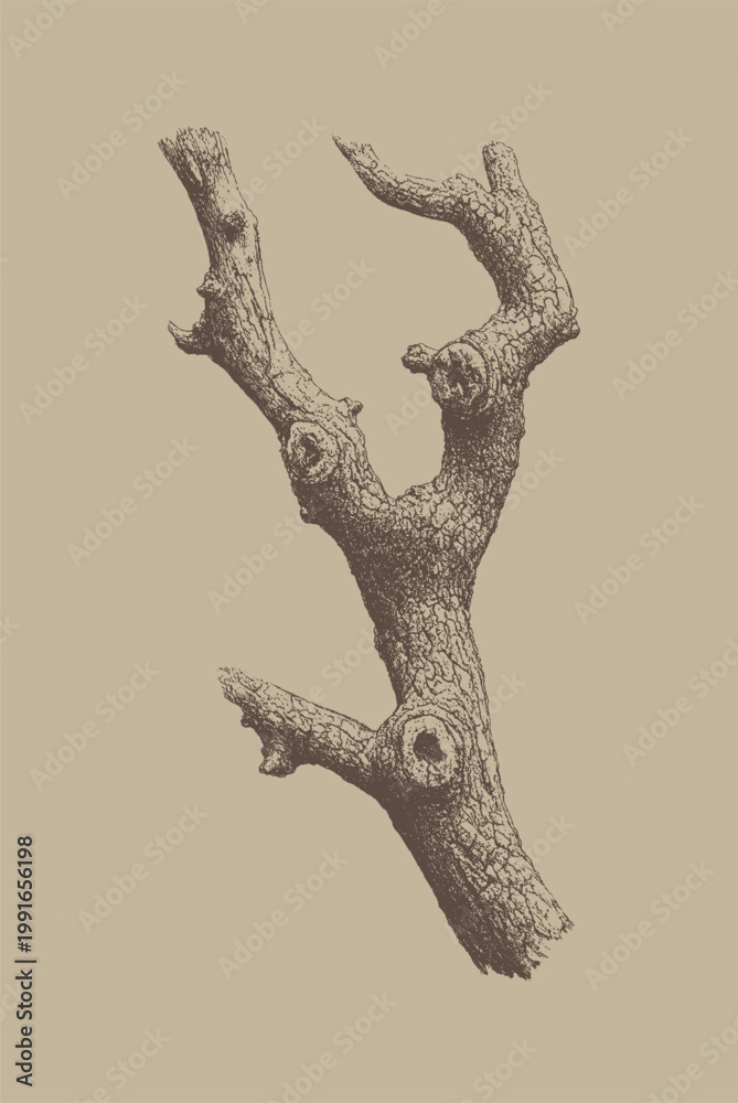Fototapeta premium Minimalist depiction of a dry tree branch with natural texture