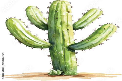 Green Cactus Plant with Sharp Spines.