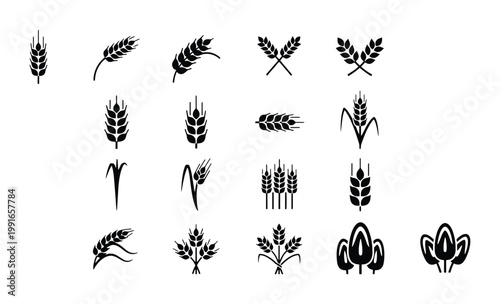 Wheat ear icons set, black cereal grain silhouettes, 18 organic agriculture vector elements for bakery logos and farm branding