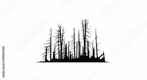 Silhouette of a dense forest of bare, dead trees against a white background