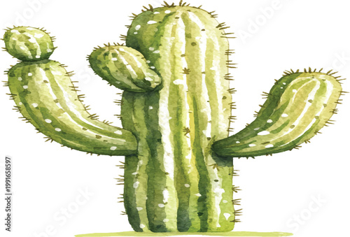 Green Prickly Cactus Plant Closeup.