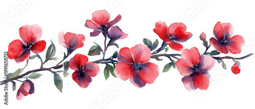 Red flower branches in a watercolor painting