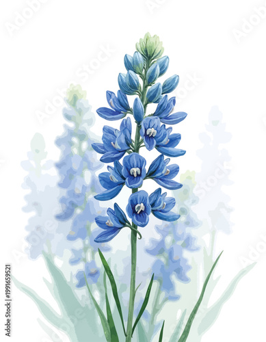 Blue delphinium flower stalk with green leaves and soft background