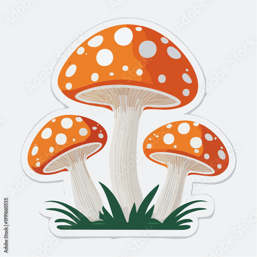 Three Fly Agaric Mushrooms with White Spots