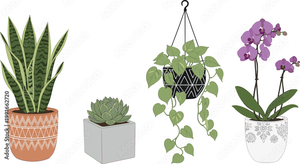 Fototapeta premium Set of decorative indoor houseplants in stylish pots including snake plant succulent hanging pothos and blooming orchid vector illustration