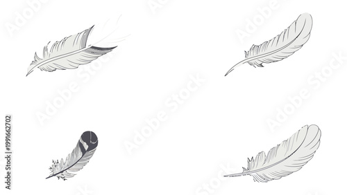 Feather Floating in the Sky: Light and airy monochrome illustrations of feathers floating in the sky create a sense of lightness, freedom, and dreaminess.