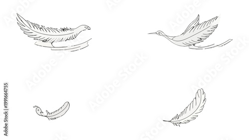 Feathers' Freedom: delicate feathers gracefully float and flutter against a serene, uncluttered backdrop, evoking a sense of lightness and freedom.